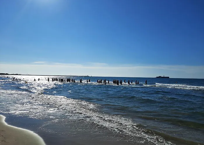 דירה Sopraland T3 45m2 A 300m Richelieu